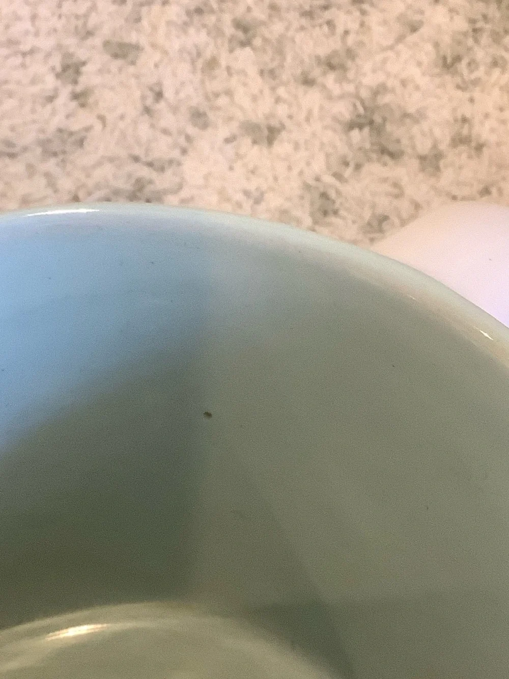 White Tropical Ceramic Mug with Green Monstera Leaf  RS 16oz.